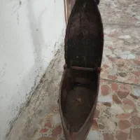 اتو ذغالی 100 ساله|کلکسیون اشیاء عتیقه|چالوس, |دیوار