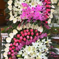 گل ویژه مراسمات .جشنها .همایشات و مراسم ترحیم|گل و گیاه طبیعی|تهران, نمایشگاه بین المللی|دیوار