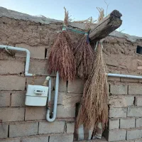 جارو|عمده‌فروشی|زنجان, |دیوار