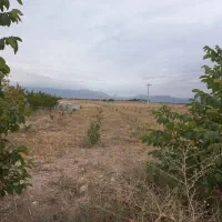 سوله-و-باغ
