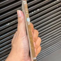 ۱۲ پرومکس با بهترین شرایط فروش|موبایل|مشهد, بهشت|دیوار