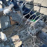 کبوتر یال|پرنده|شهرضا, |دیوار