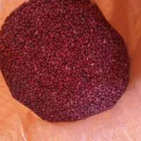 لوبیا‌قرمز یاقوت بوجاری شده‌کیلویی205