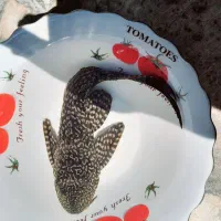 ماهی لجن خوار سالم و بزرگ۱۹ سانتی متر