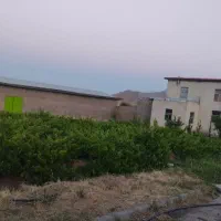 مجتمع دامداری