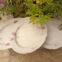 دیس برنج خوری