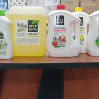 شوینده بهداشتی|مواد شوینده و دستمال کاغذی|قوچان, |دیوار