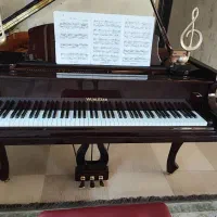 پیانو گرند|پیانو، کیبورد، آکاردئون|شیراز, شهرک مفتح|دیوار