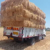 علوفه ذرت تفاله سیب چغندر کولش وکنسانتره