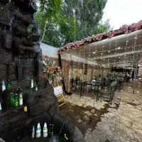 استخدام سالندار