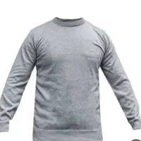 شاگرد حرفه ای