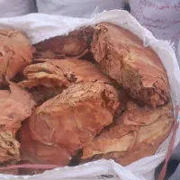 بنیاد تند کیفیت عالی
