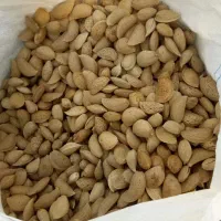 بادام