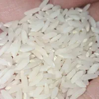 برنج میانه اعلا*خالص*|خوردنی و آشامیدنی|تبریز, |دیوار