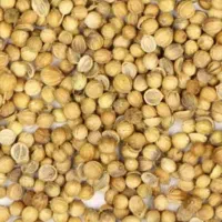 خریدارتخم گشنیز
