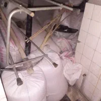 600کیلو(جیوه)برای کاشت بذر|خدمات باغبانی و درختکاری|گیلان غرب, |دیوار