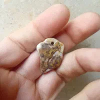 سنگ گردنی باستانی مصور