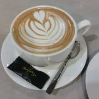 سالنکار با اخلاق