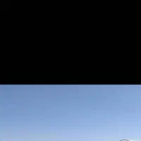 کبوتر تار شده دوکت