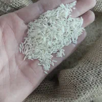 برنج هاشمی درباری|عمده‌فروشی|تهران, وصفنارد|دیوار