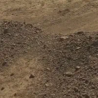 زمین دکان دوار