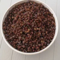 فروش خشکبار ارگانیک