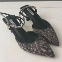 کفش مجلسی