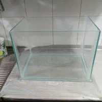 اکواریم|ماهی|یزد, |دیوار