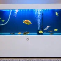 آکواریوم مخصوص دیسکس