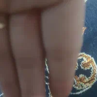 کیف مدارک گمشده