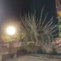 نیازمند نگهبان