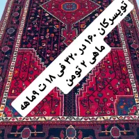 فرش دستباف( بساک ) حراج از دم قسط بدون پیش|فرش|مشکین‌دشت, |دیوار