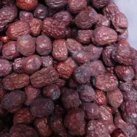 عناب امسالی