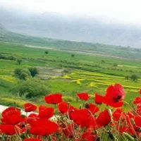 خونه باغ/ ویلاگردشگری ، برای مسافران دشت سوسن ایذه