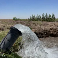 باغ پسته و زمین کشاورزی مرغوب