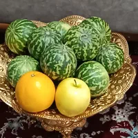 هندوانه طبیعی بادوام یلدای دونه 50|گل و گیاه طبیعی|کرمانشاه, |دیوار