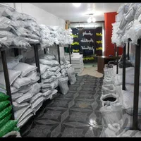 مویز کشمش