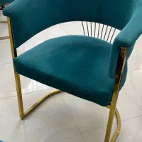 تجهیزات سالن|آرایشگاه و سالن‌های زیبایی|رشت, پارک شهر|دیوار