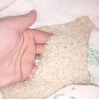 خرید فروش برنج ایرانی