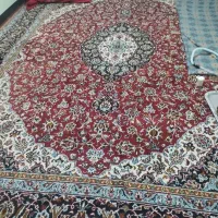 قالی دسته دوم|فرش|کرمان, |دیوار