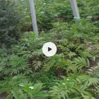 فروش زمین ۱۰۰۰ متری