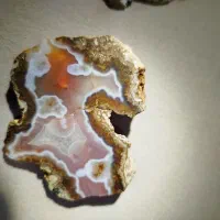 سنگ شجر کلکسیونی|جواهرات|خرم‌آباد, |دیوار