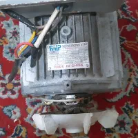 یک عدینام سالم تمیزودرحدخشک