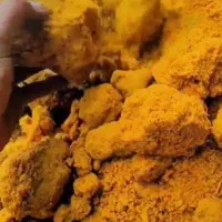 پوست بادام وگردو