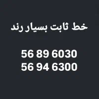 خط ثابت طلایی