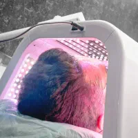 فیشیال و پاکسازی تخصصی آقایان|خدمات آرایشگری و زیبایی|زابل, |دیوار