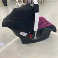 کالسکه سایبان دار دلیجان|کالسکه و لوازم جانبی|اردبیل, |دیوار