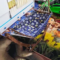 گهواره نو تمام چوب