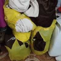 پرده مخمل چهار تافقط 3ملیون|پرده، رانر، رومیزی|شیراز, ریاستی|دیوار