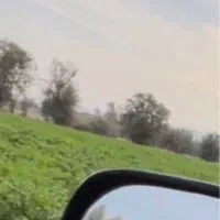 زمین کشاورزی 57هکتار